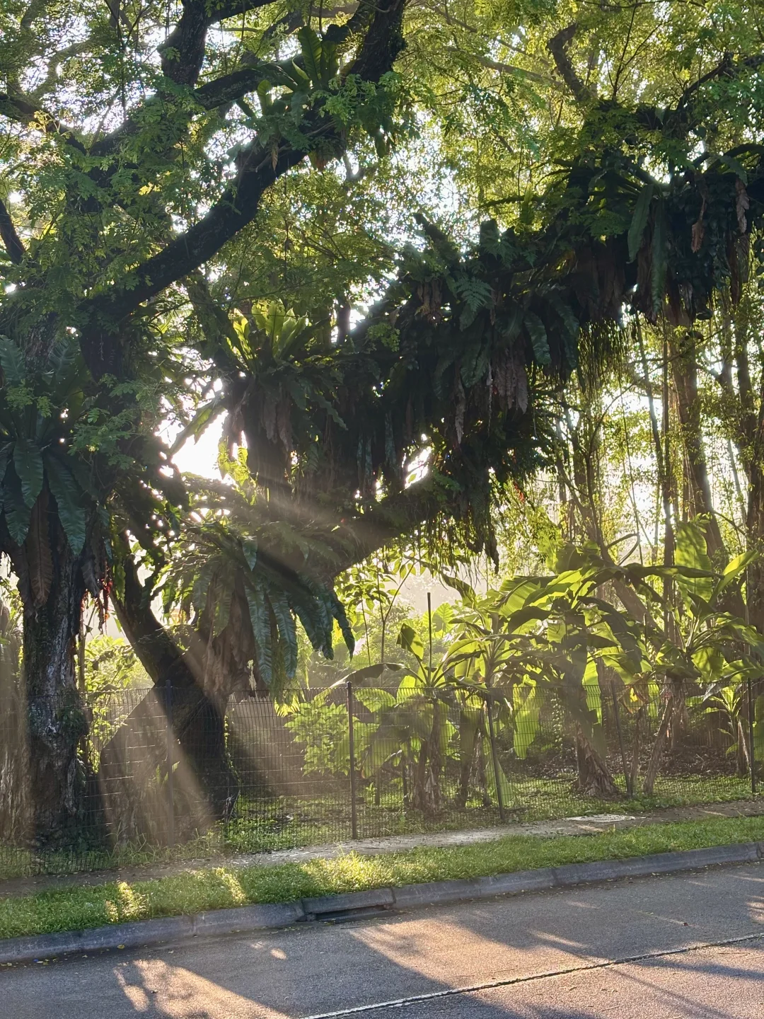 简单谈谈公司价值两元论