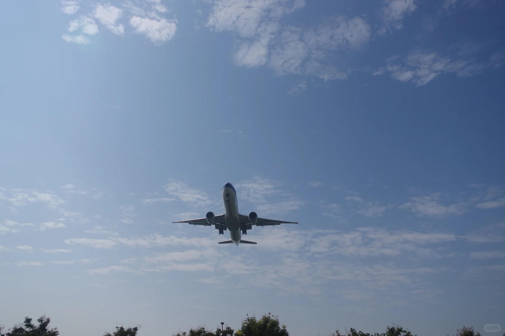 超宽体机降落确实带风