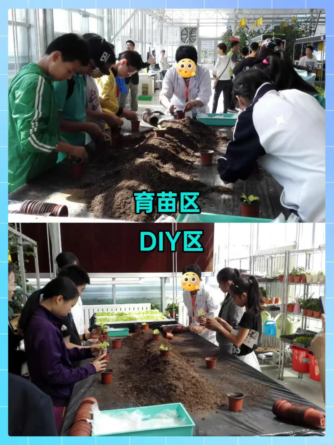 实验楼顶居然打造成了校园农场