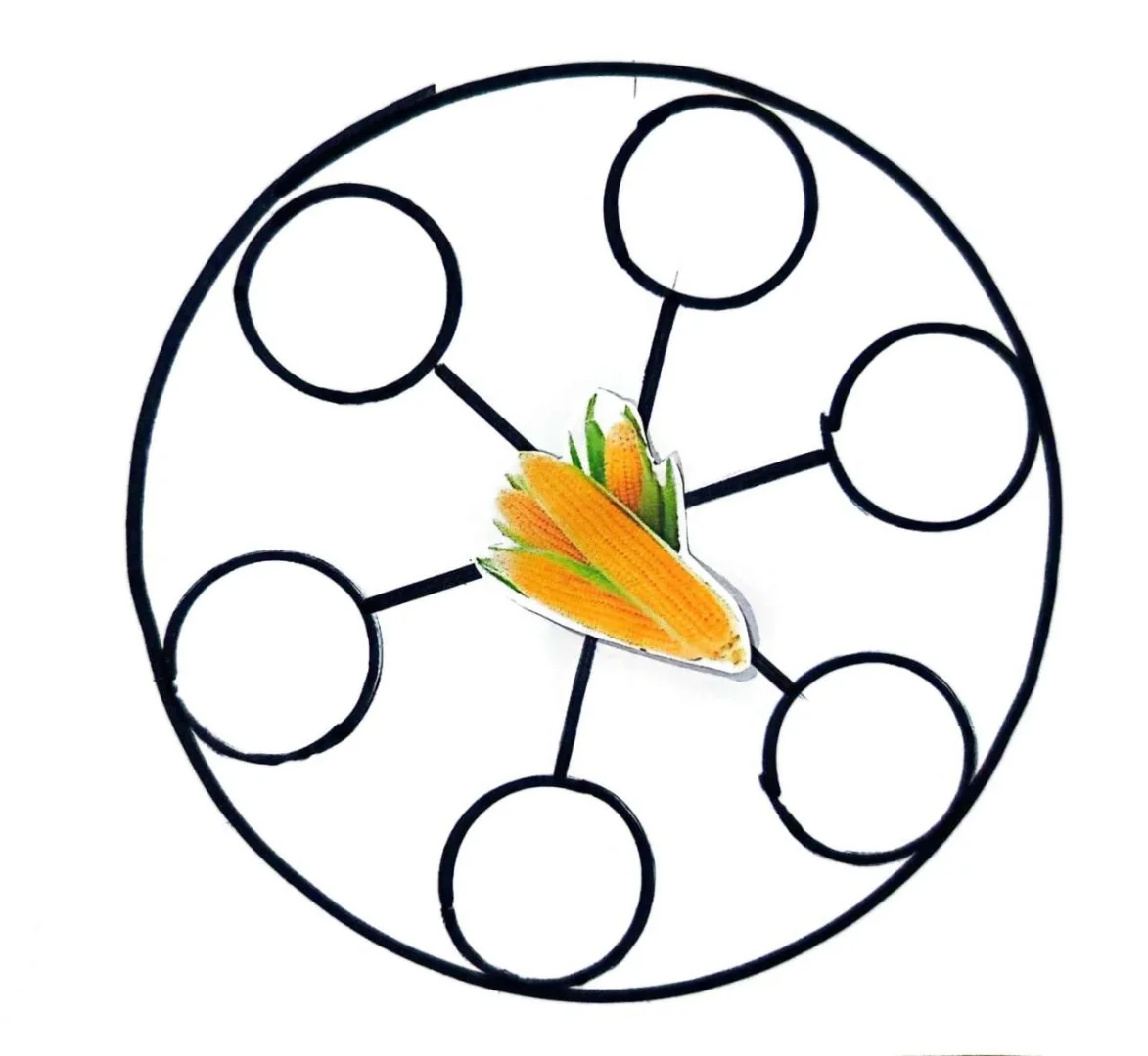 大班主题[丰收的季节]数学区（农作物加工）