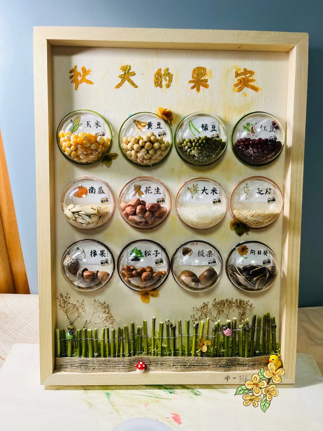 幼儿园中班第一份作业,秋天的种子(果实)