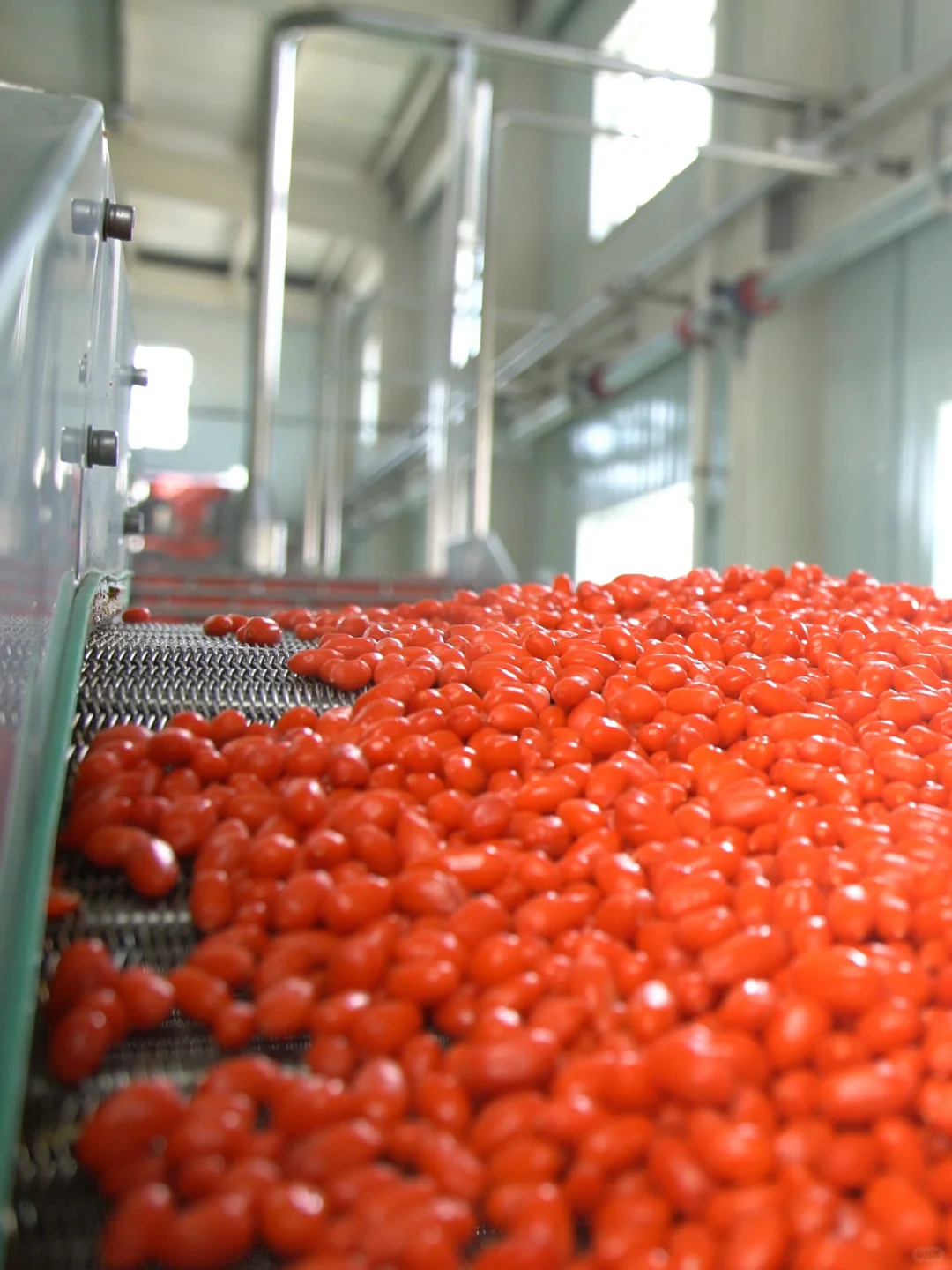 新媒体人成为厂妹的一天