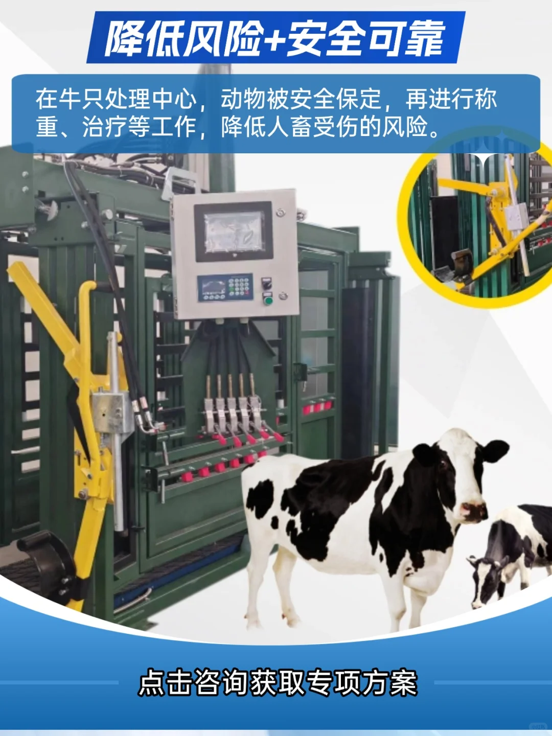 科技牧场 | 智能称重分群,效率安全双提升