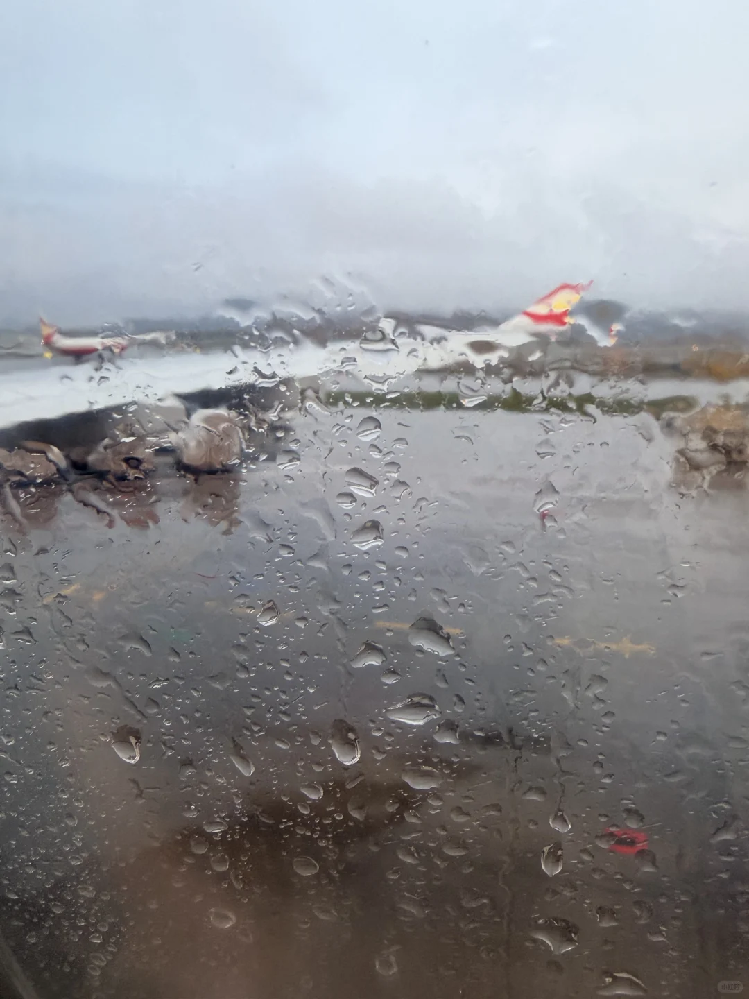 国内宽体飞机✈️也是坐上了|空客波音