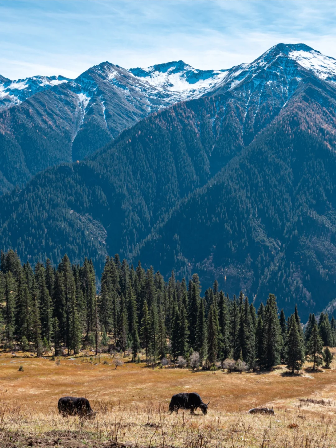 分享一个清净点的周末赏秋秘境?