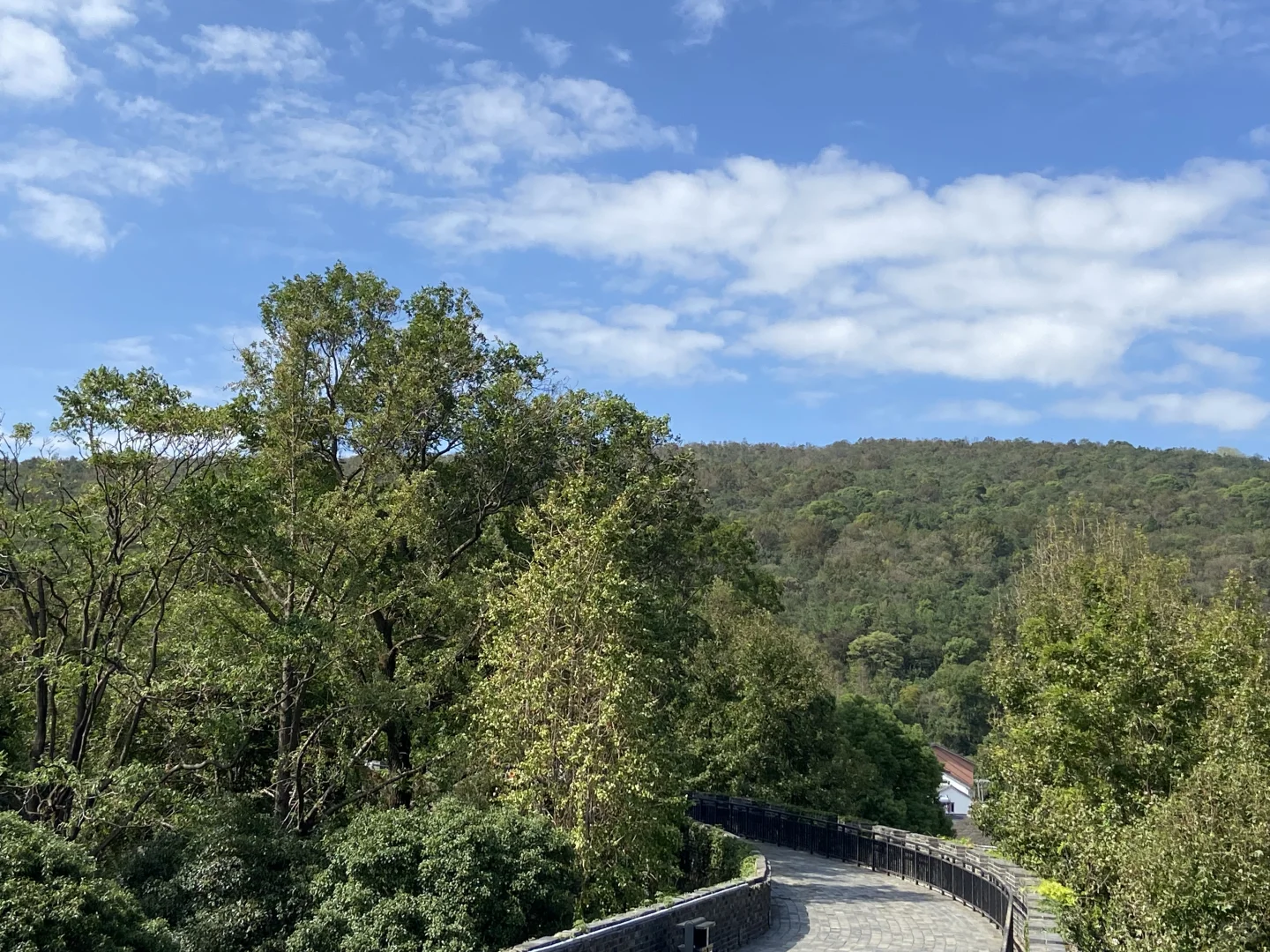 盼人扶我青云志，一齐踏雪至山巅