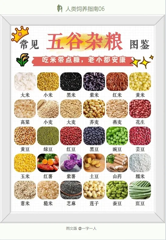 什么是五谷，中国人的基础常识