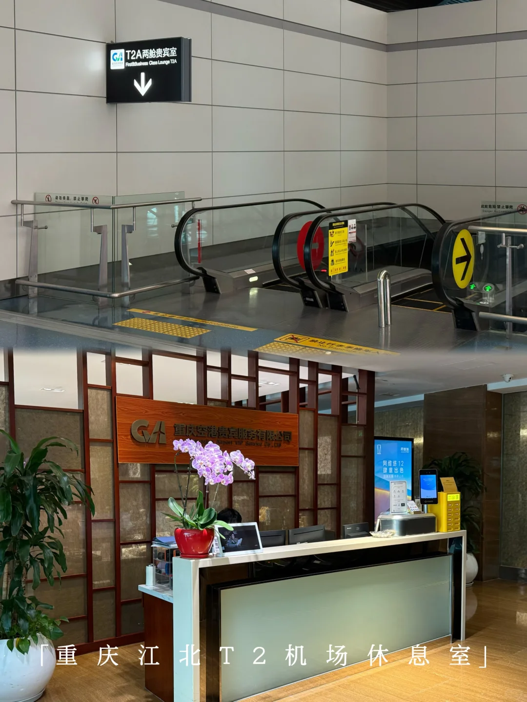 「挑战打卡100家机场」东营胜利|商飞试飞基地