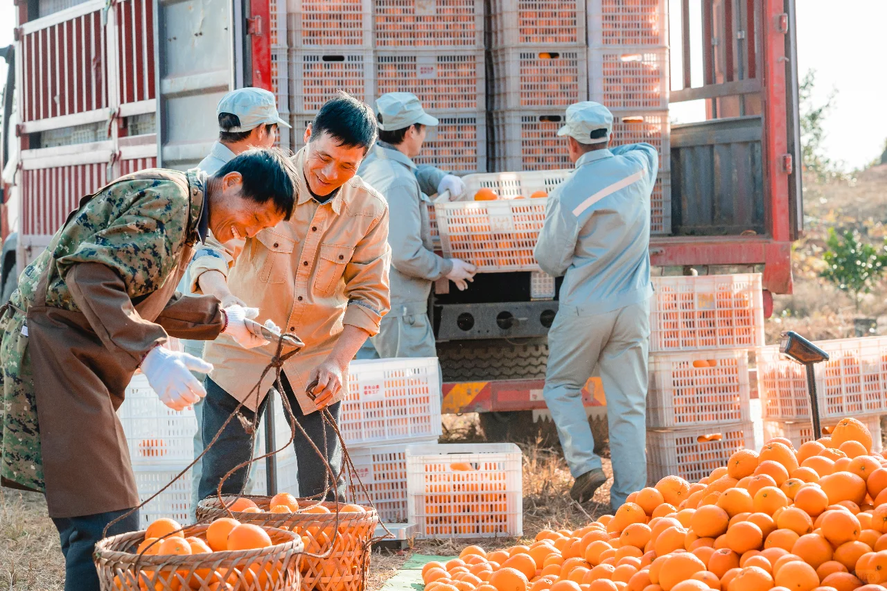 果农眼中的农夫山泉原来是这样的?