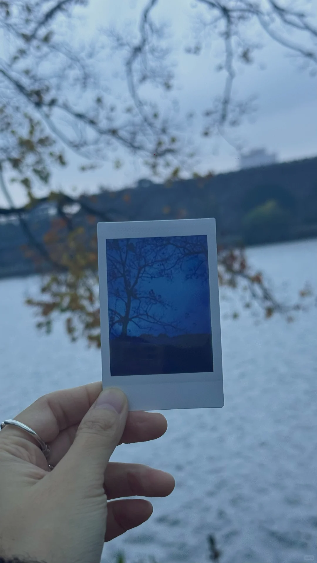 在南京中山植物园带娃邂逅初冬の浪漫