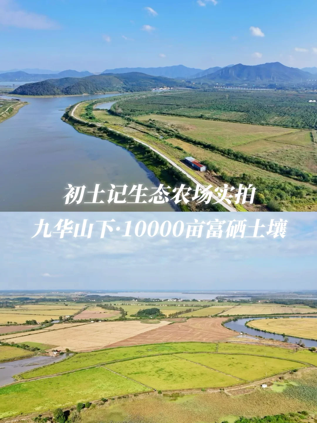 别不信,就是自家万亩生态农场的土鸡蛋