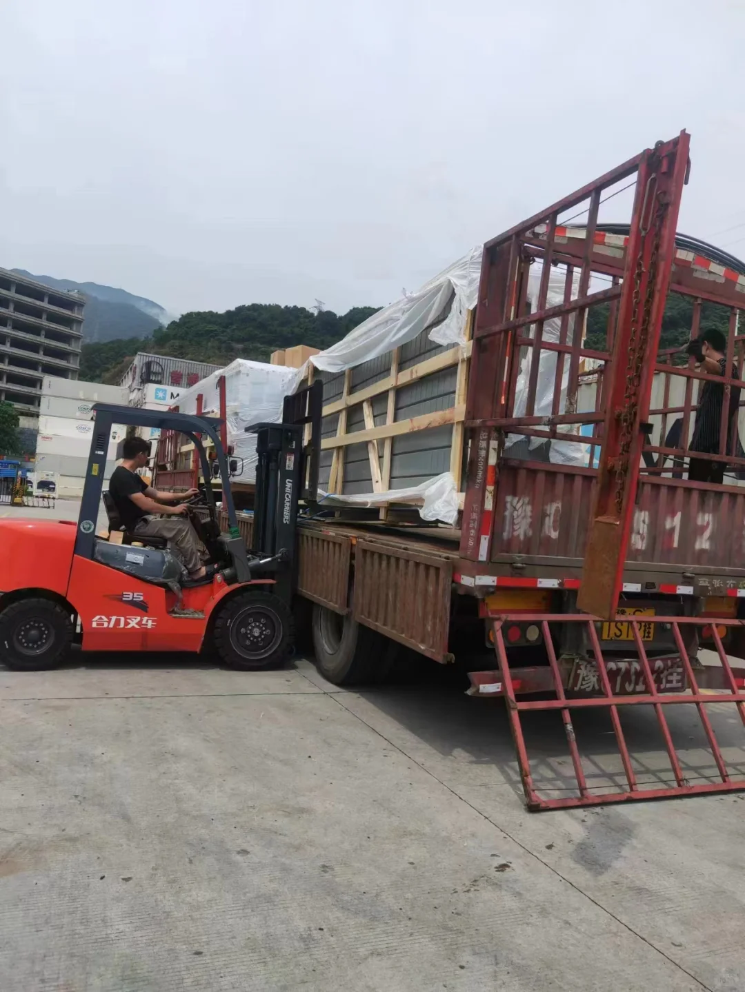 荷兰进口温室种植 潮汐穴盘 装车