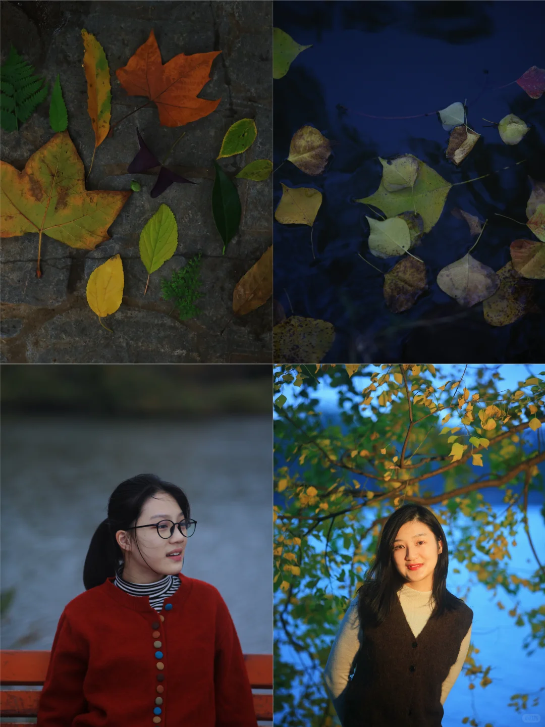 在南京中山植物园带娃邂逅初冬の浪漫