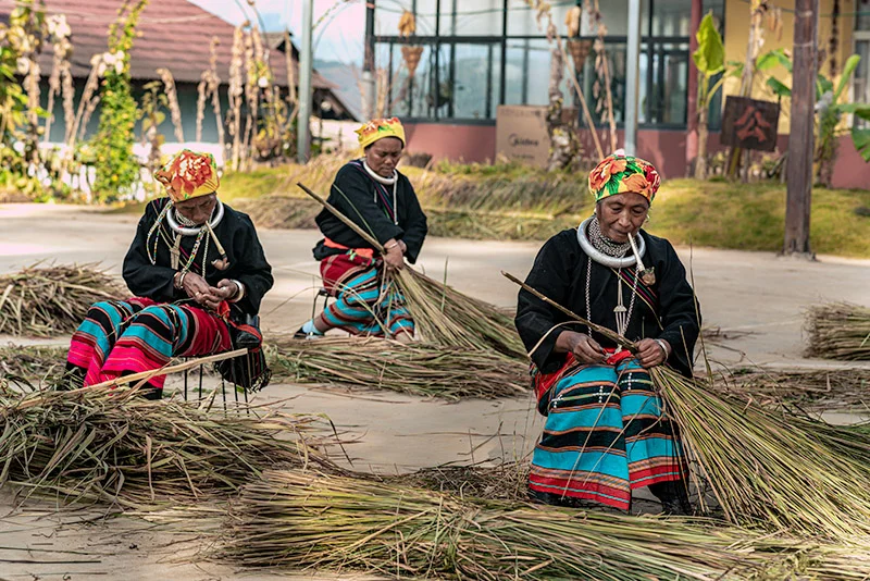 56个民族之佤族——齐心协力盖大房