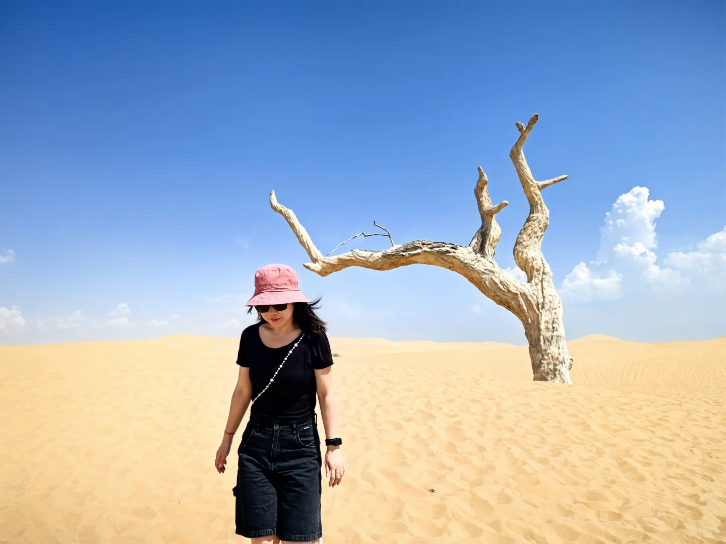 40天8省23市攻略详细版(三)乌海和巴彦淖尔