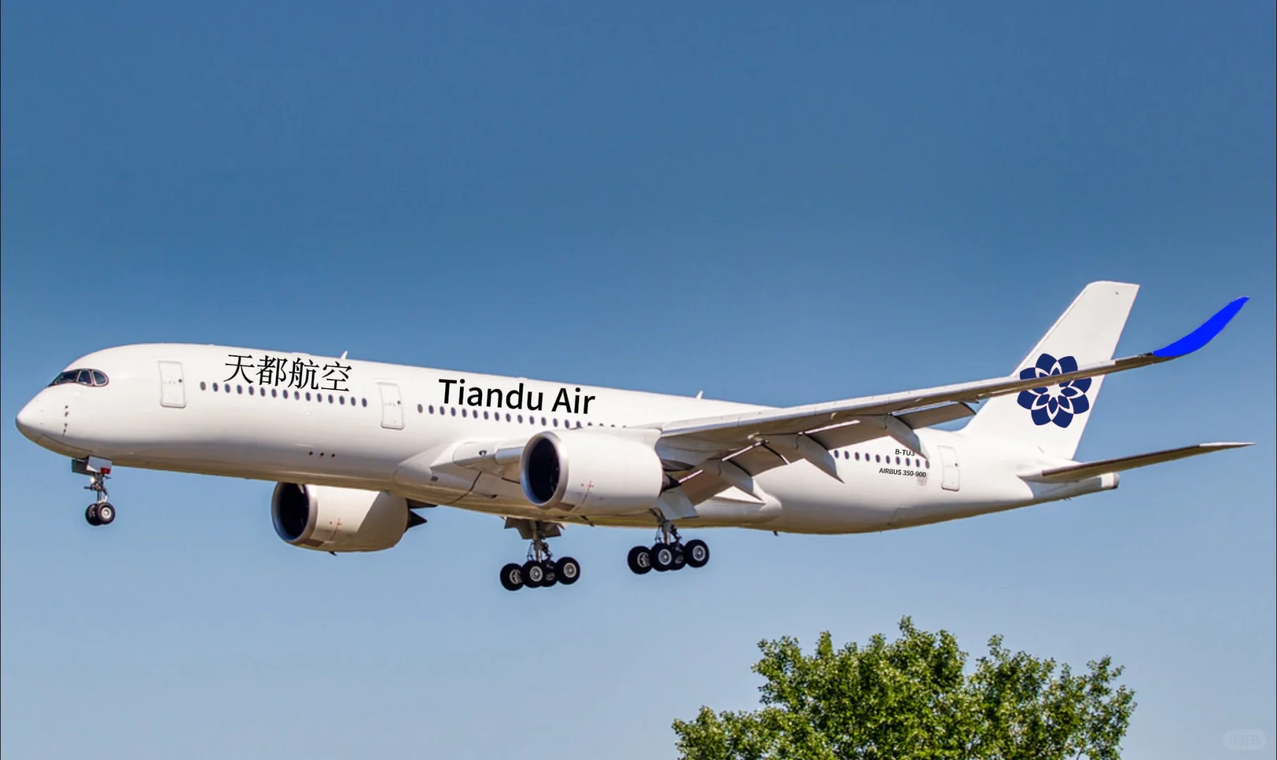 天都航空第8架A359即将交付