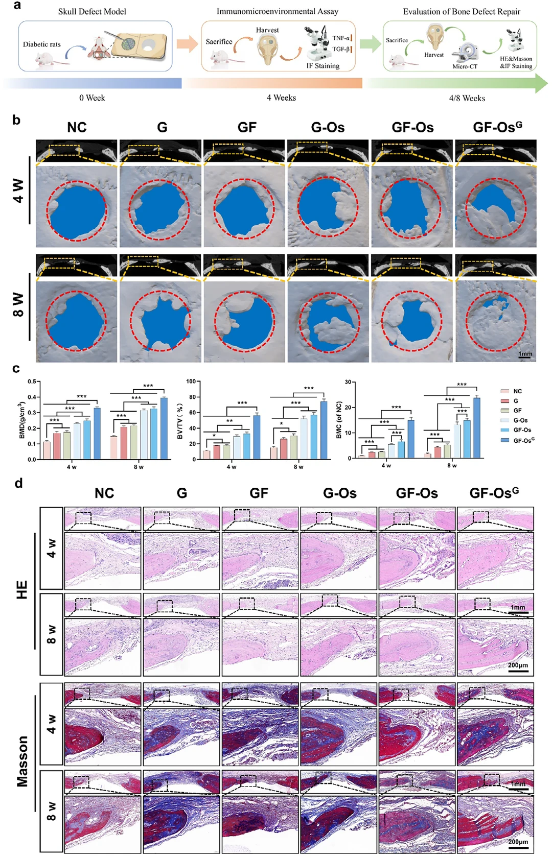 Adv. Mater. : 智能生物电池促糖尿病骨再生