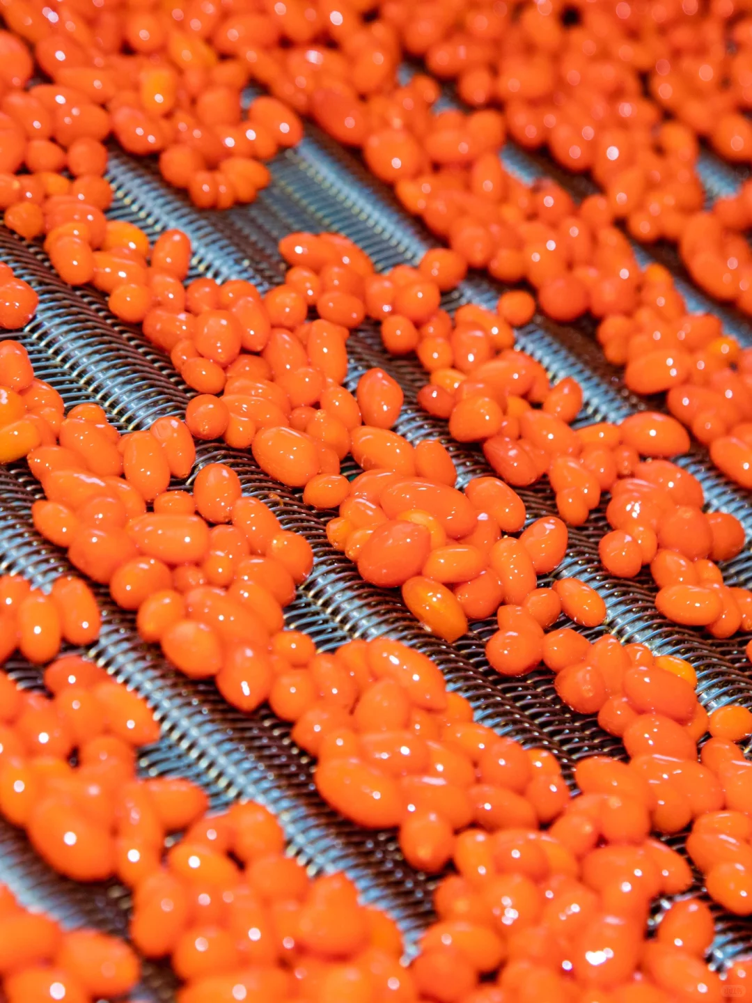 新媒体人成为厂妹的一天