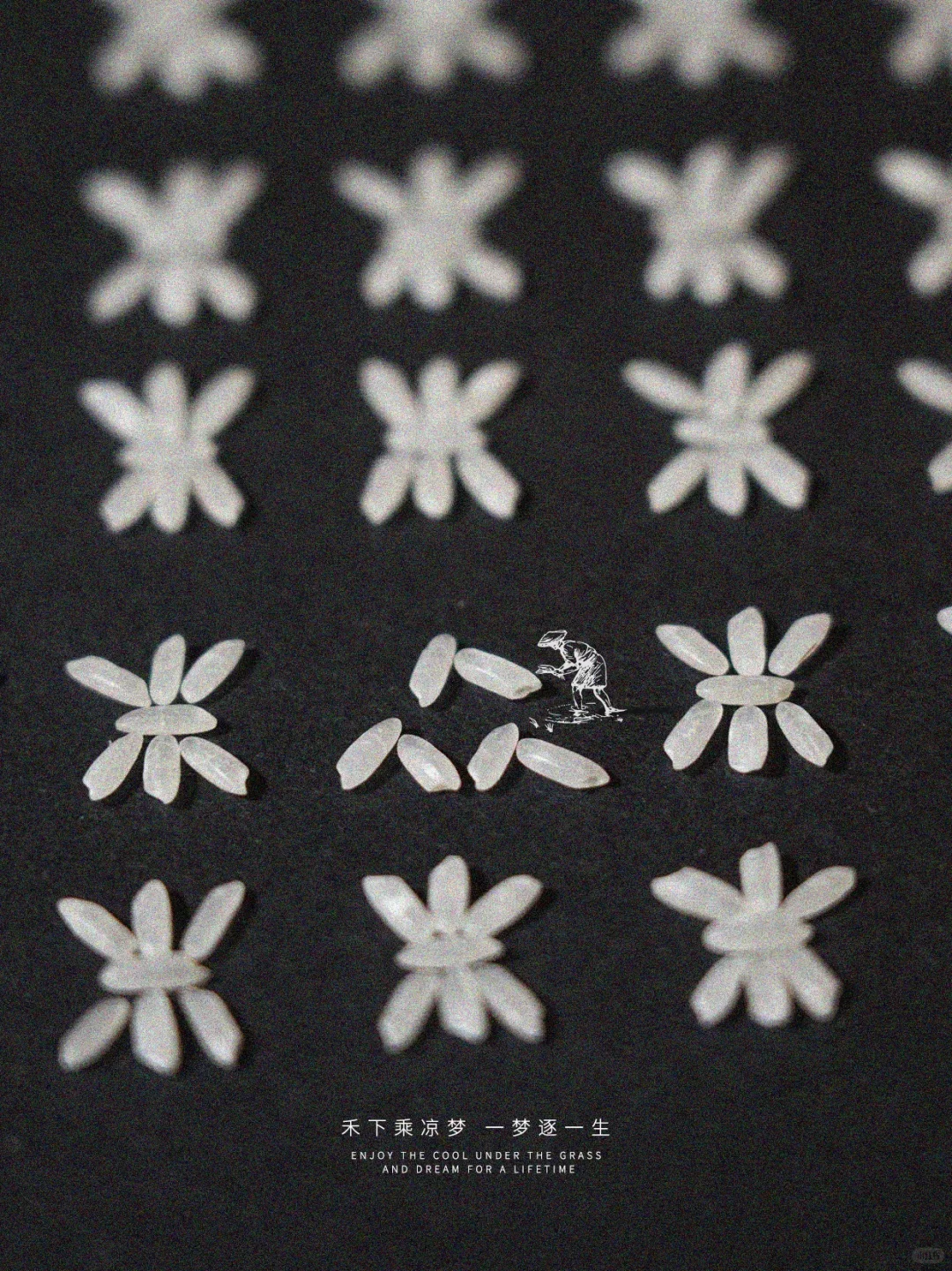 在这个丰收的季节，还会想起那个田间身影