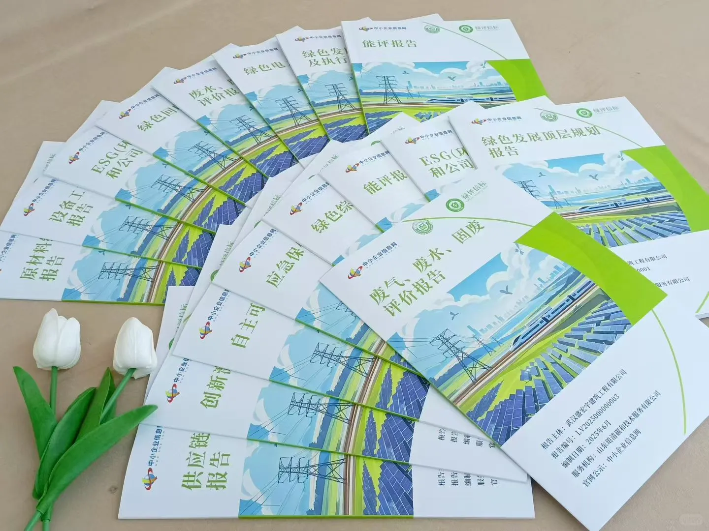 中小型企业绿色报告及中国工信部背书报告