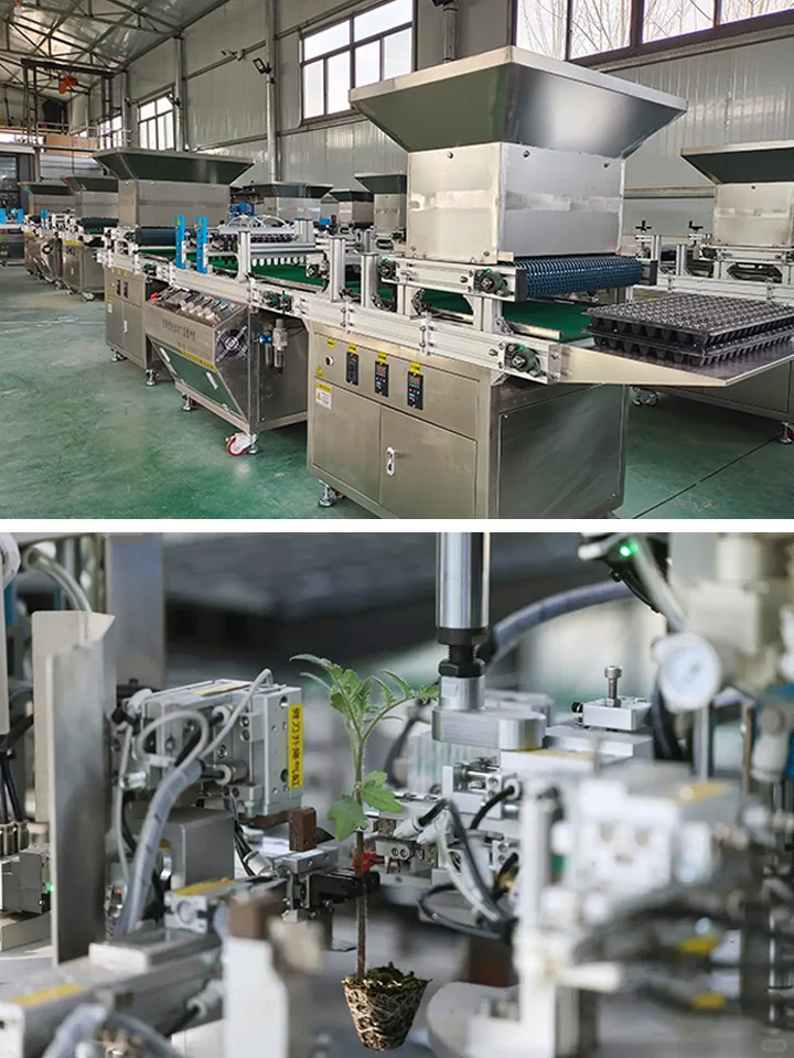 全自动育苗工厂：自动化设备让育苗效率翻倍