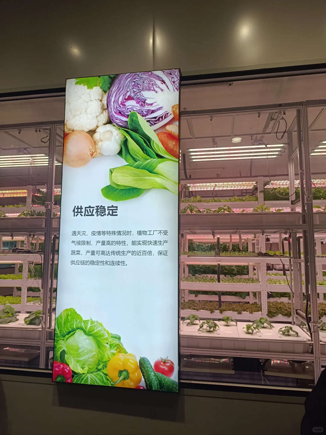 生活中的地理教学素材-四维生态数字农业