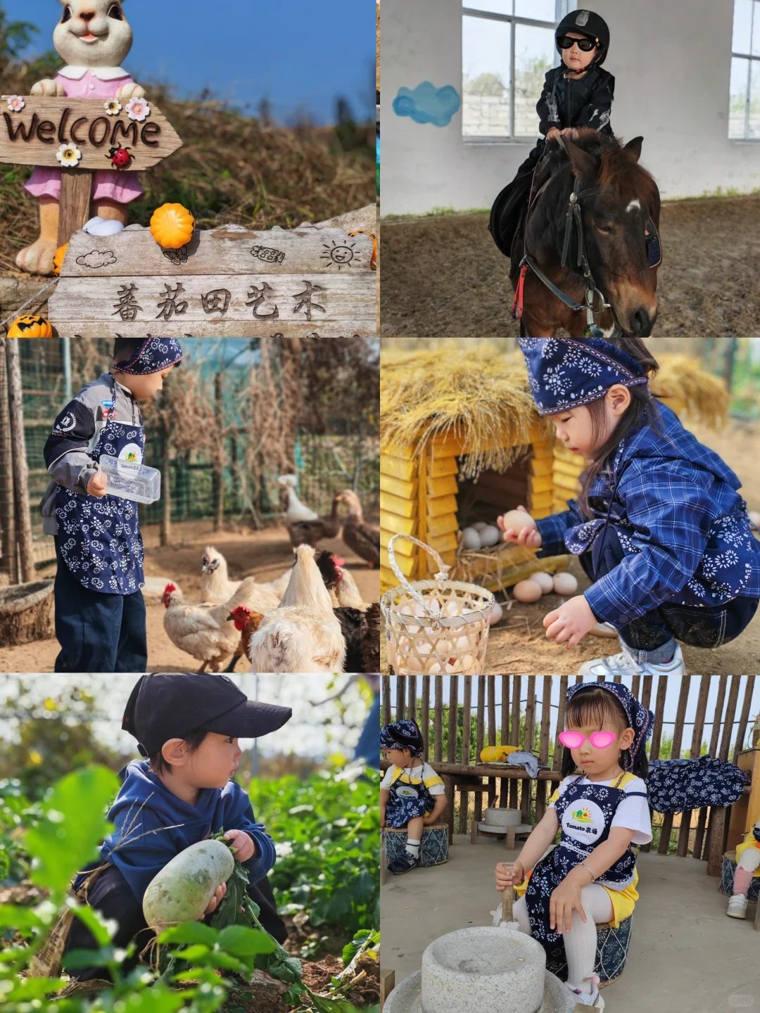 威海溜娃｜农场一日游｜冬日户外撒野