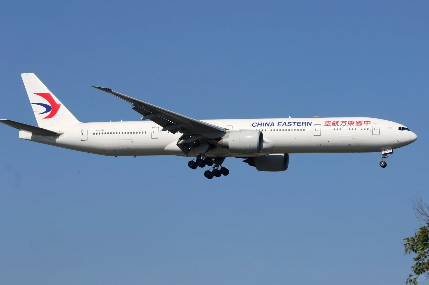 虹桥机场拍宽体