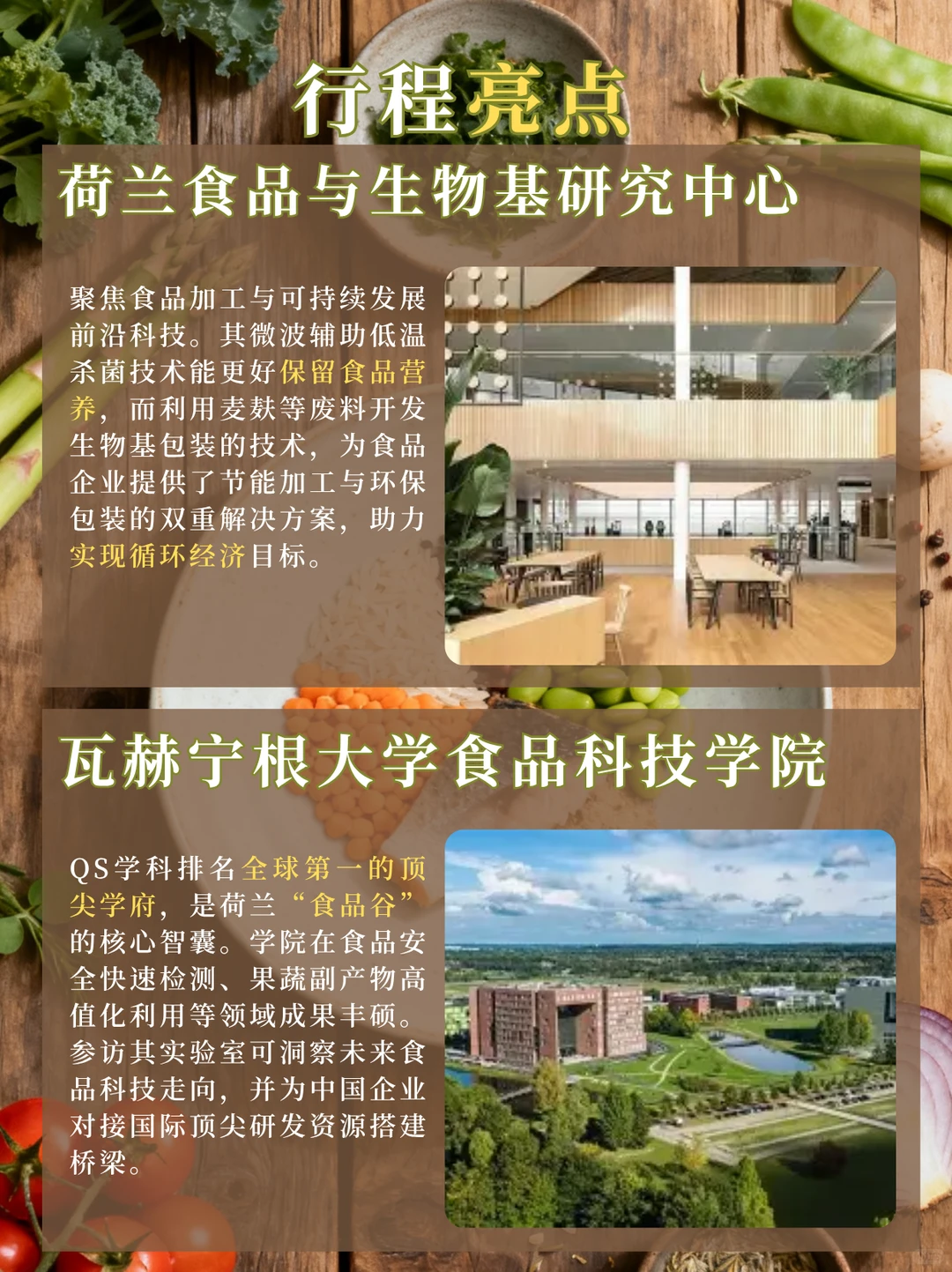 荷兰“食品硅谷”商务考察丨6天5晚