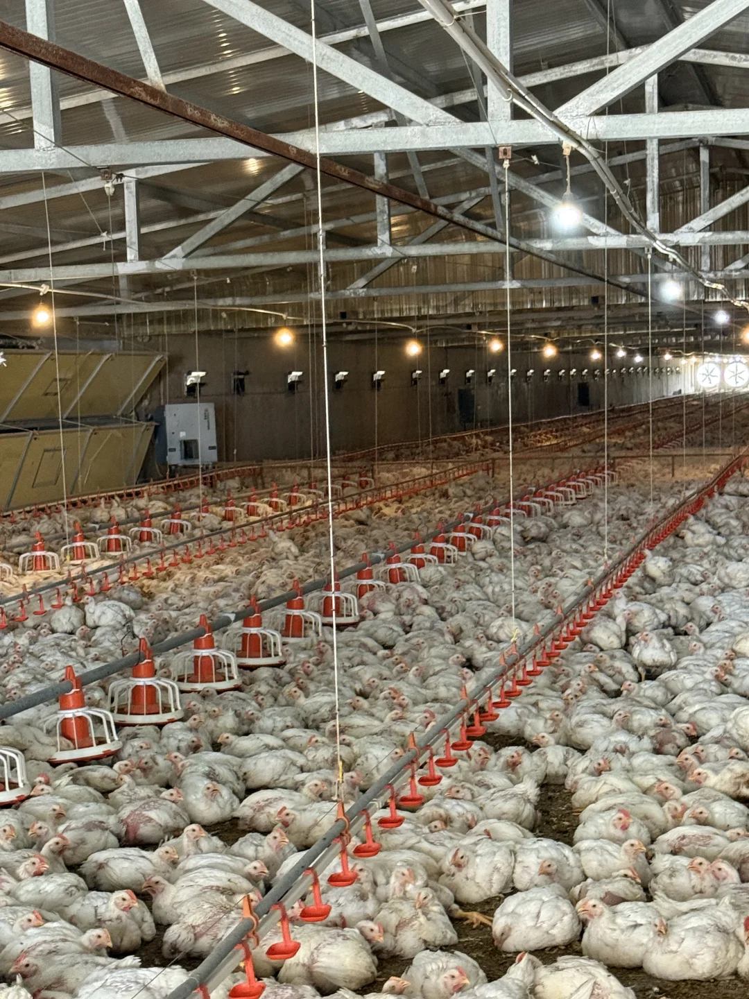 传福瑞暖风机、加热器、供暖设备、过冬必备