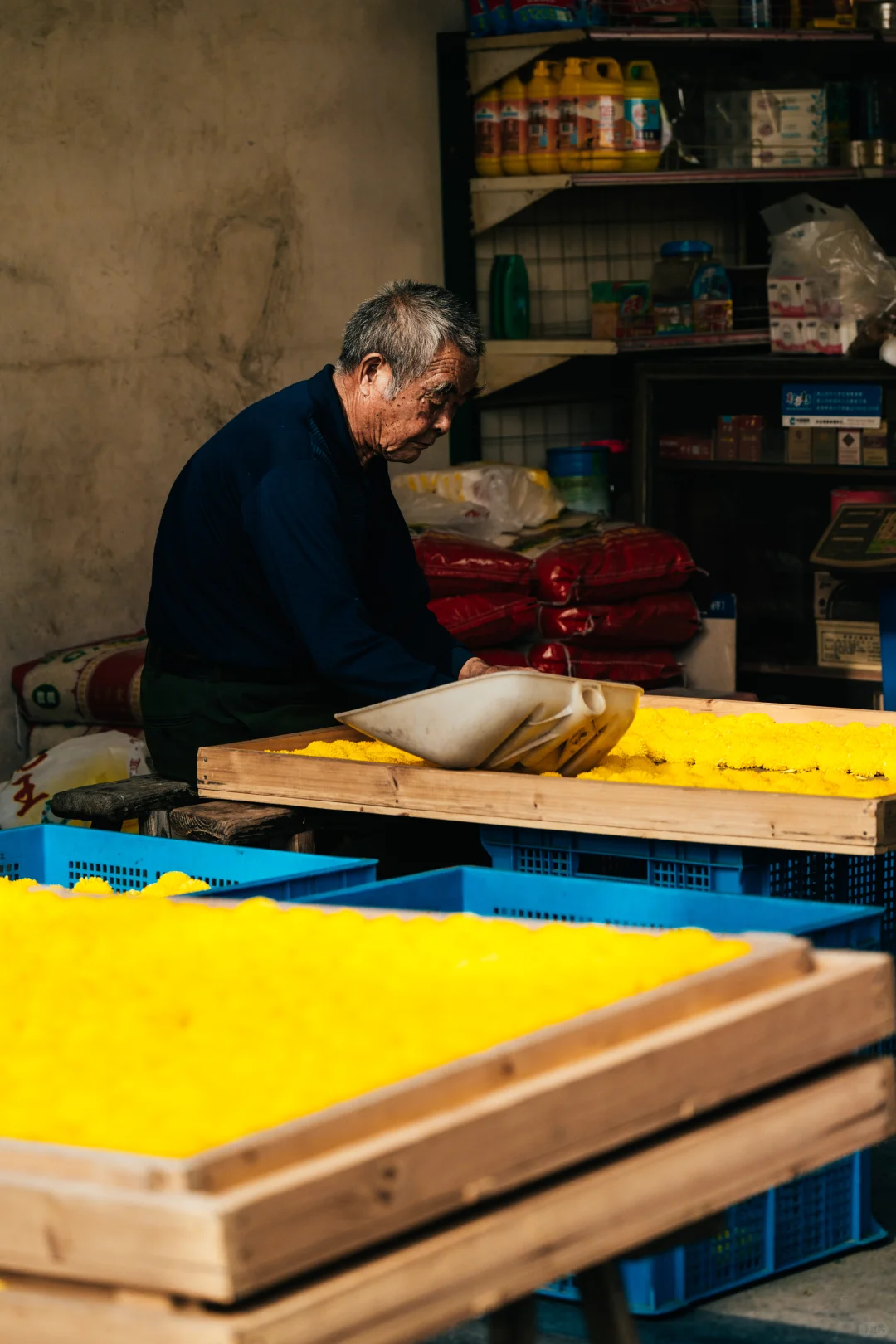 橫心岭:不是花中偏爱菊，此花开尽更无花