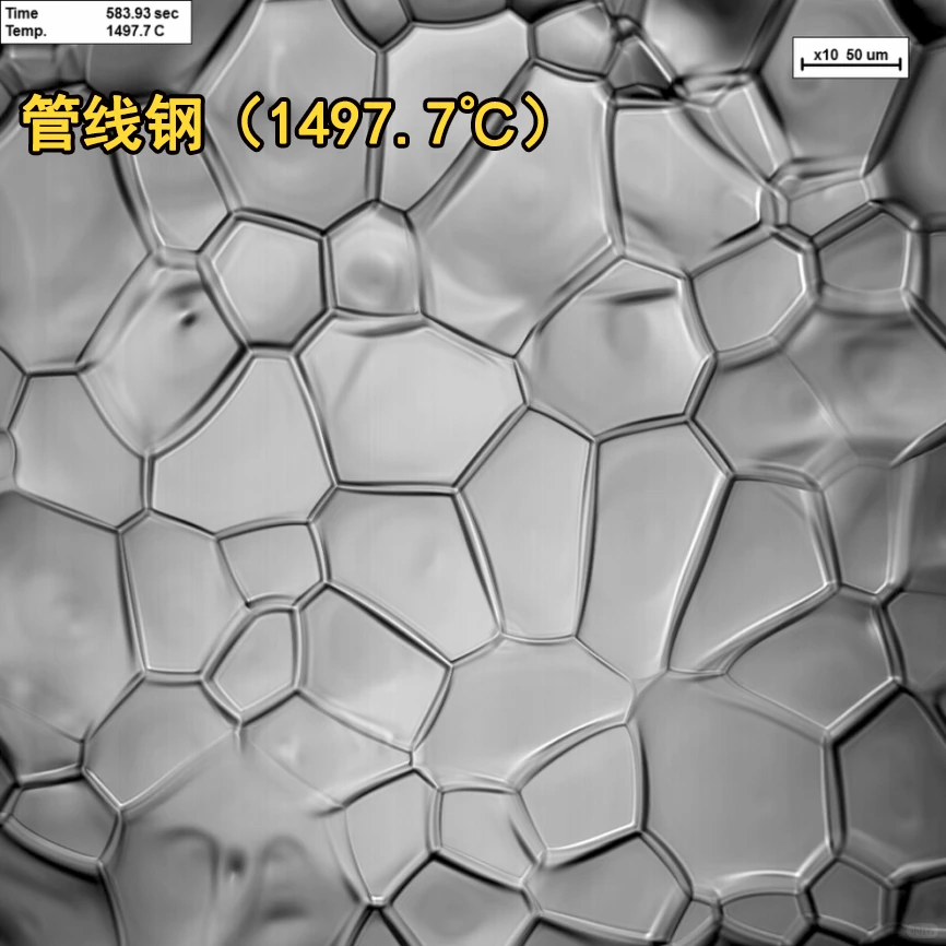 使用高温共聚焦原位观察管线钢的凝固过程