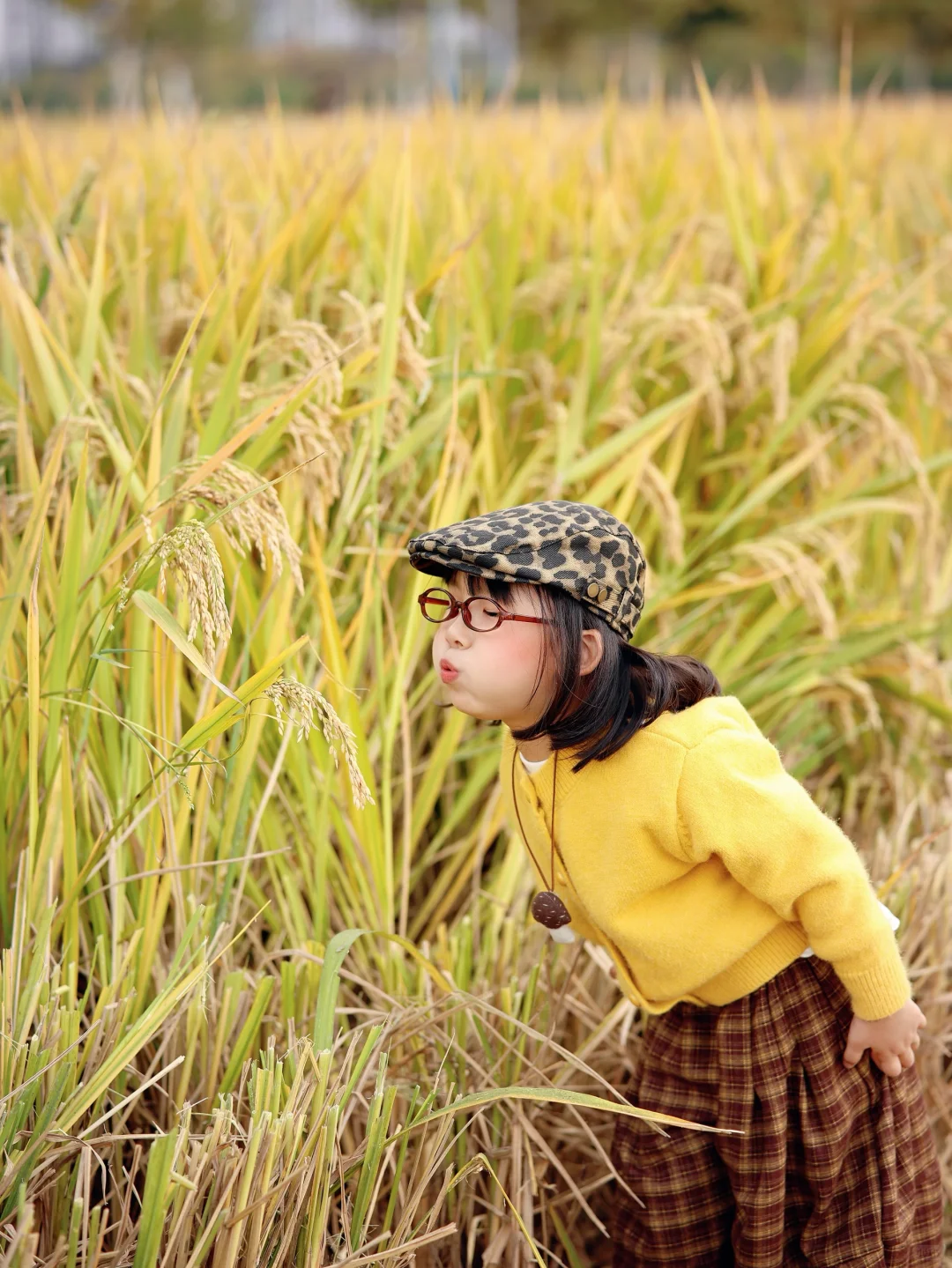杭州稻田遛娃拍出电影感!娃的红脸蛋全靠它!