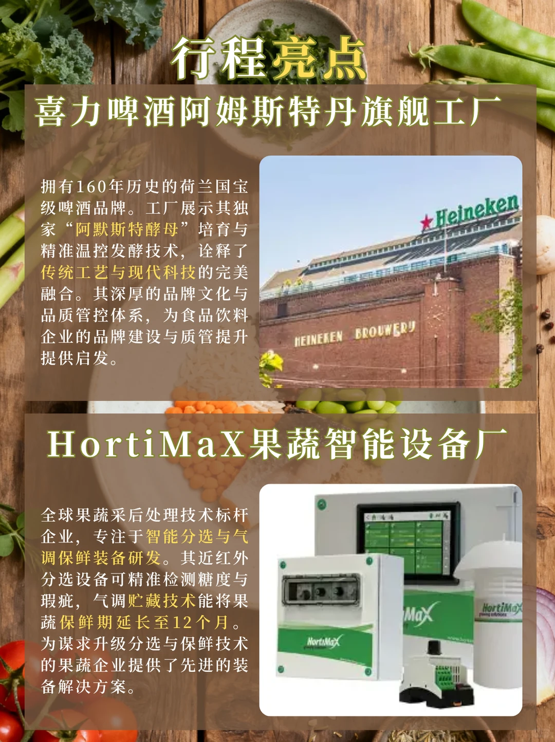 荷兰“食品硅谷”商务考察丨6天5晚