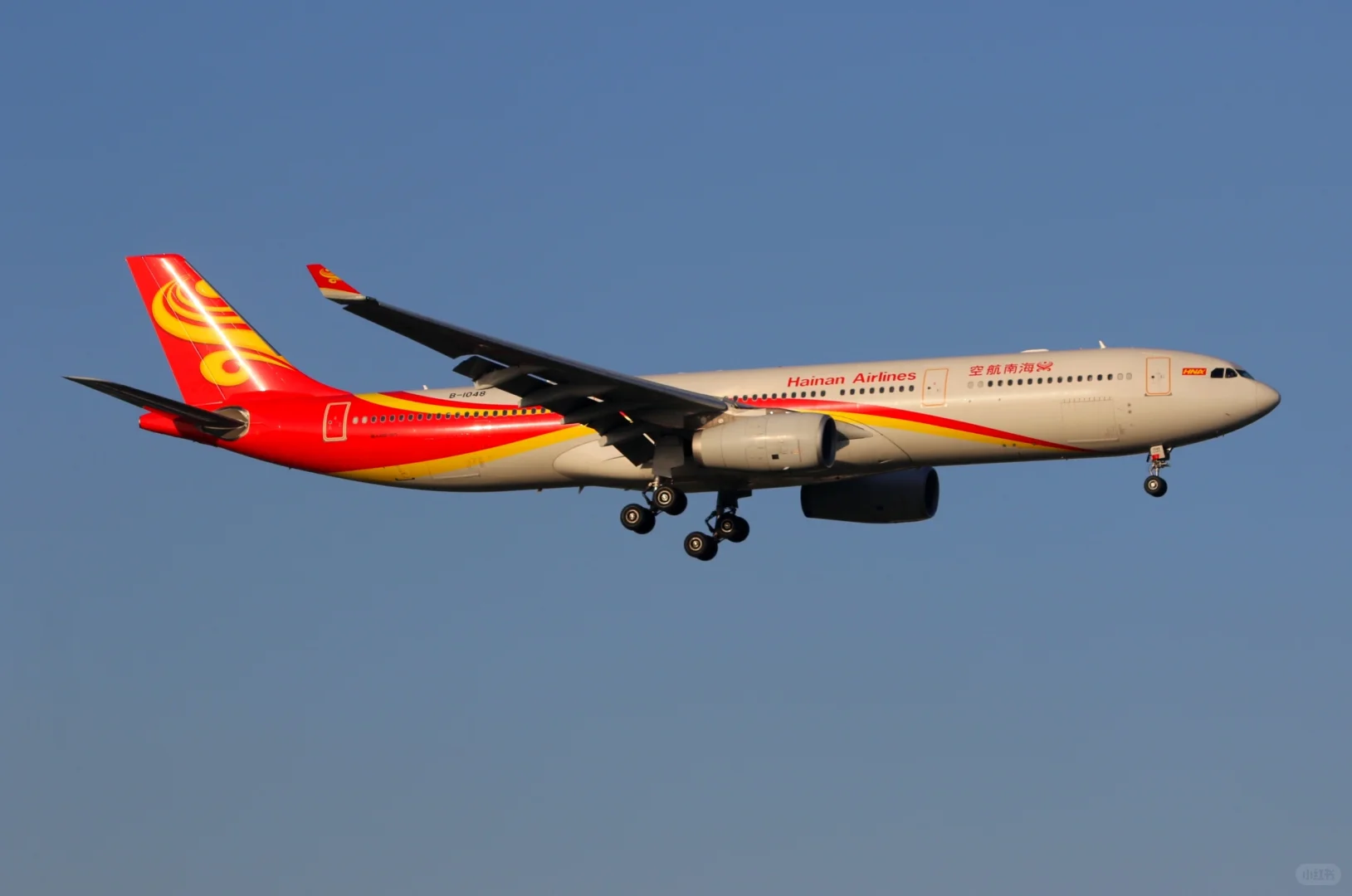 虹桥机场拍宽体