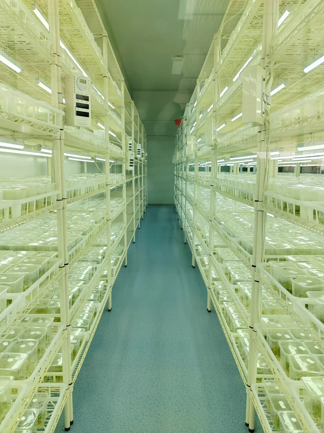 智能温室工厂化育苗