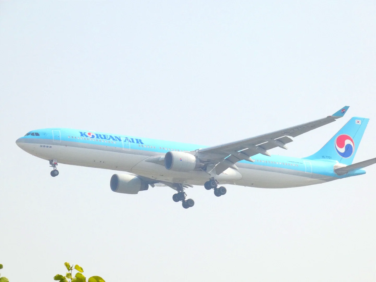 第一次拍到大韩的宽体飞机