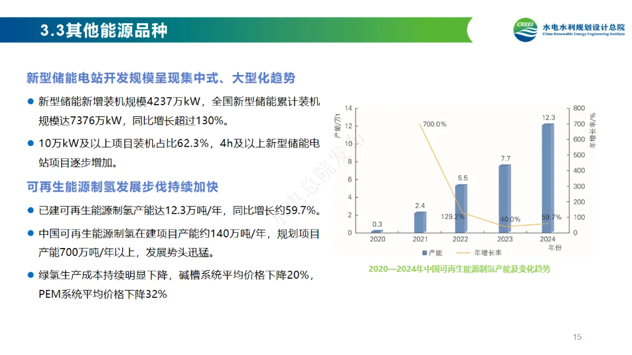 【中国可再生能源发展报告—2024】