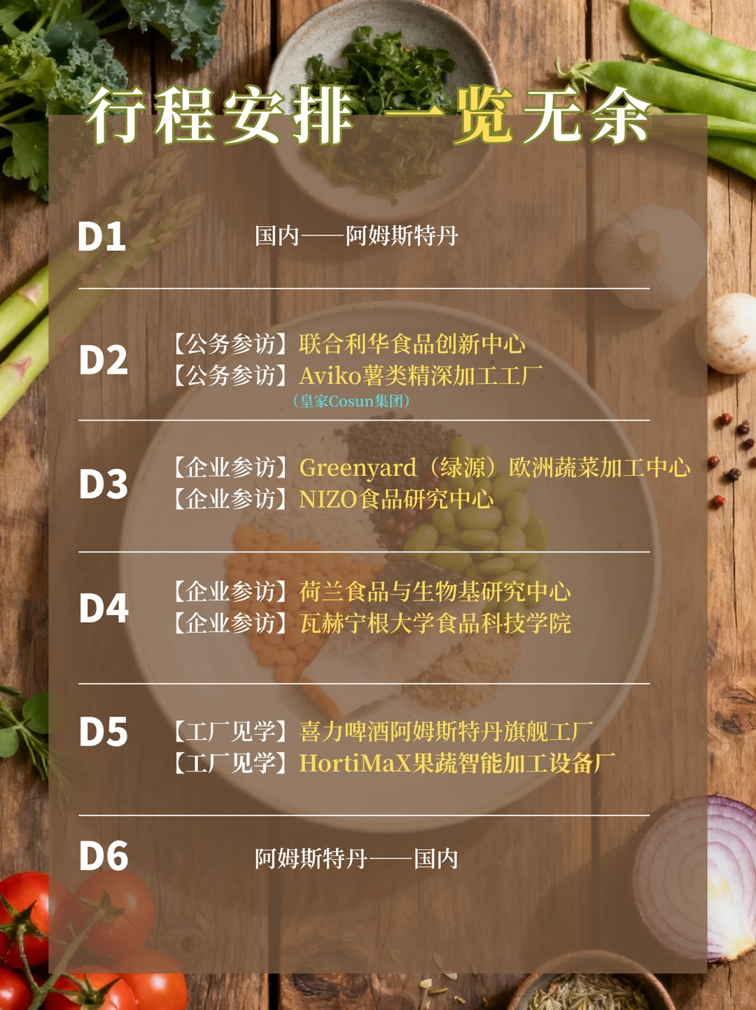 荷兰“食品硅谷”商务考察丨6天5晚