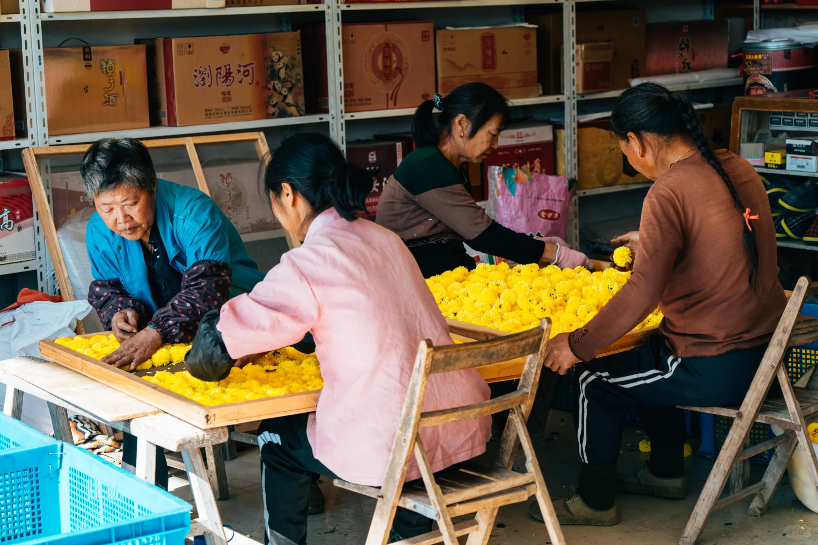 皖南的秋:待到徽州秋尽日，我花开后百花杀