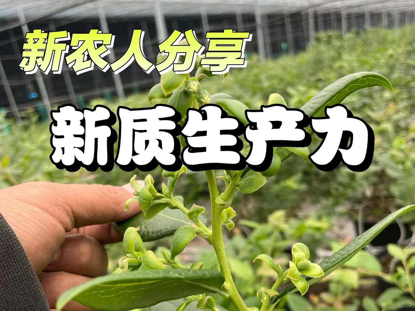 新农人必看!什么是新质生产力?