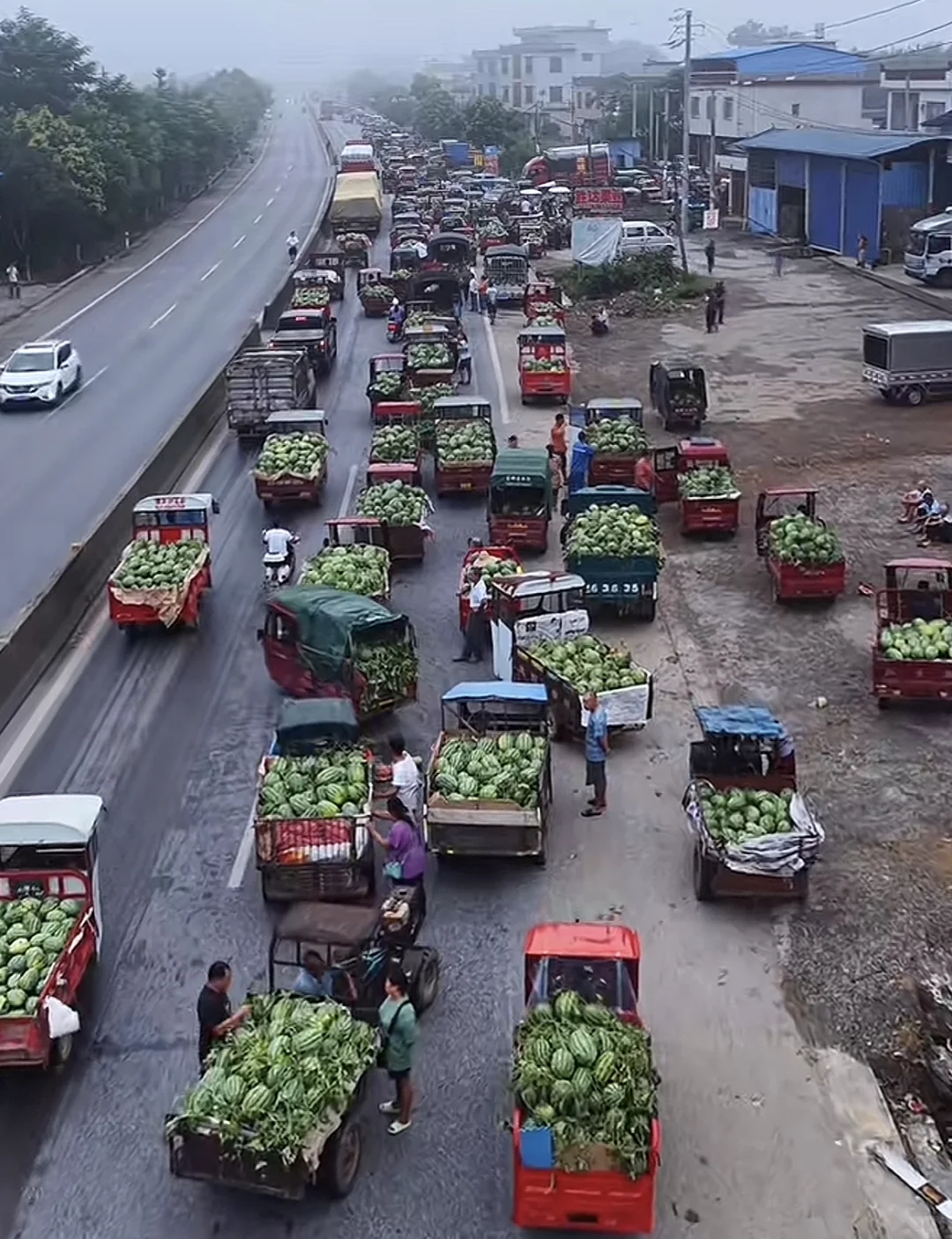 力源助农增收,西瓜甜满人间!买一个西瓜