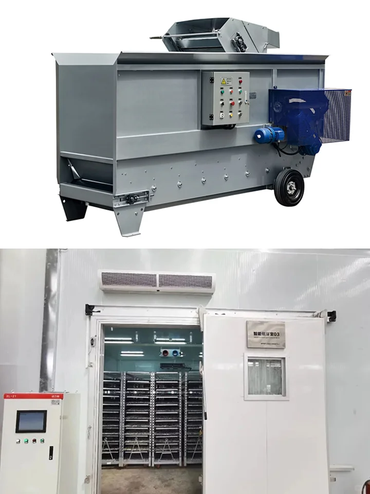 全自动育苗工厂：自动化设备让育苗效率翻倍