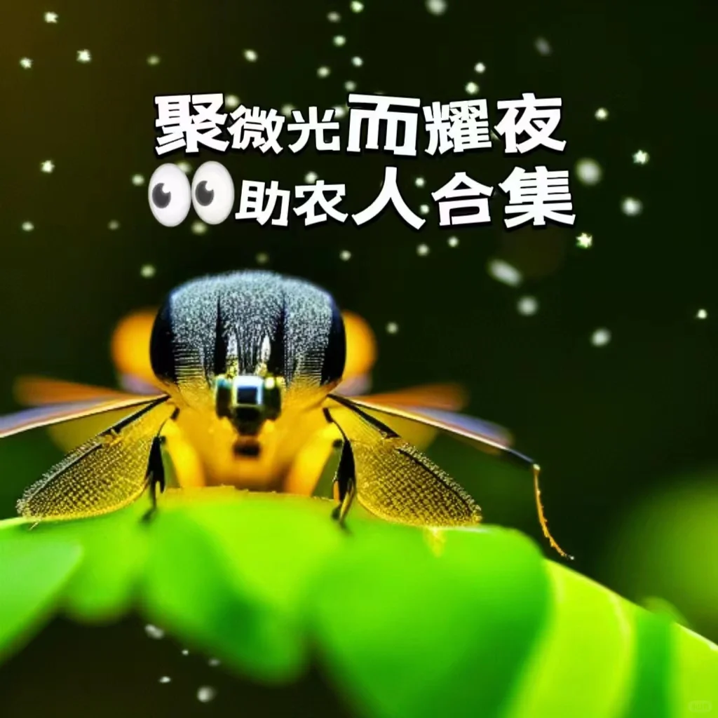 一起助力帮农民伯伯卖水果