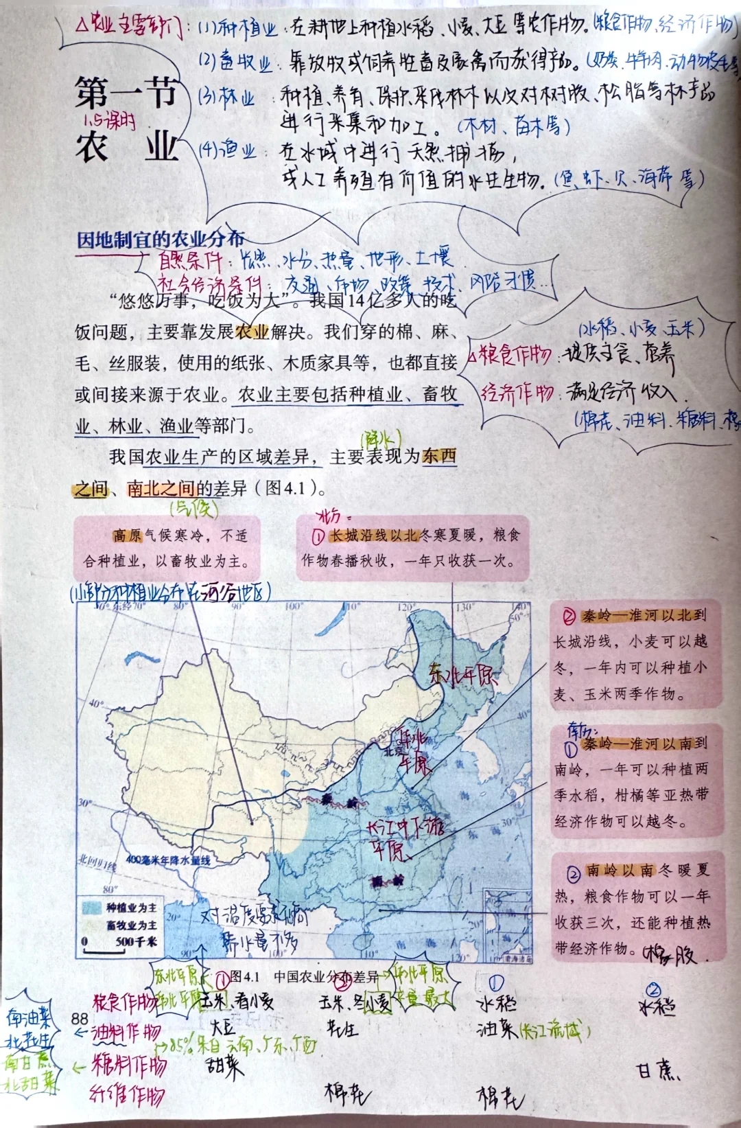 新人教版八上地理〔教材笔记〕4.1农业