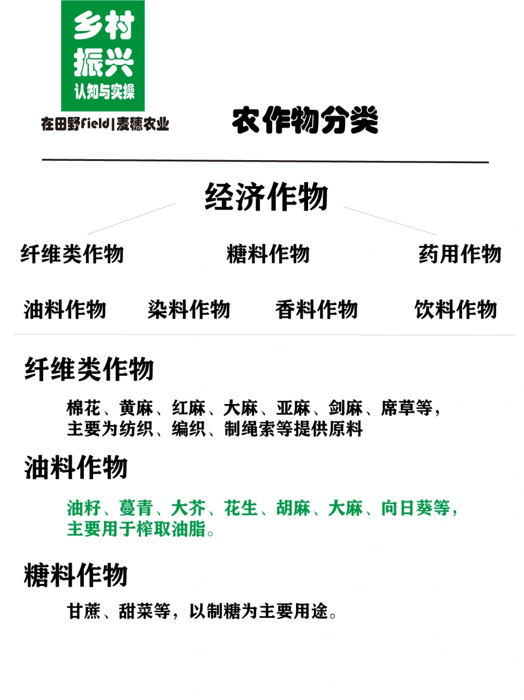 助力乡村振兴｜了解农作物的分类