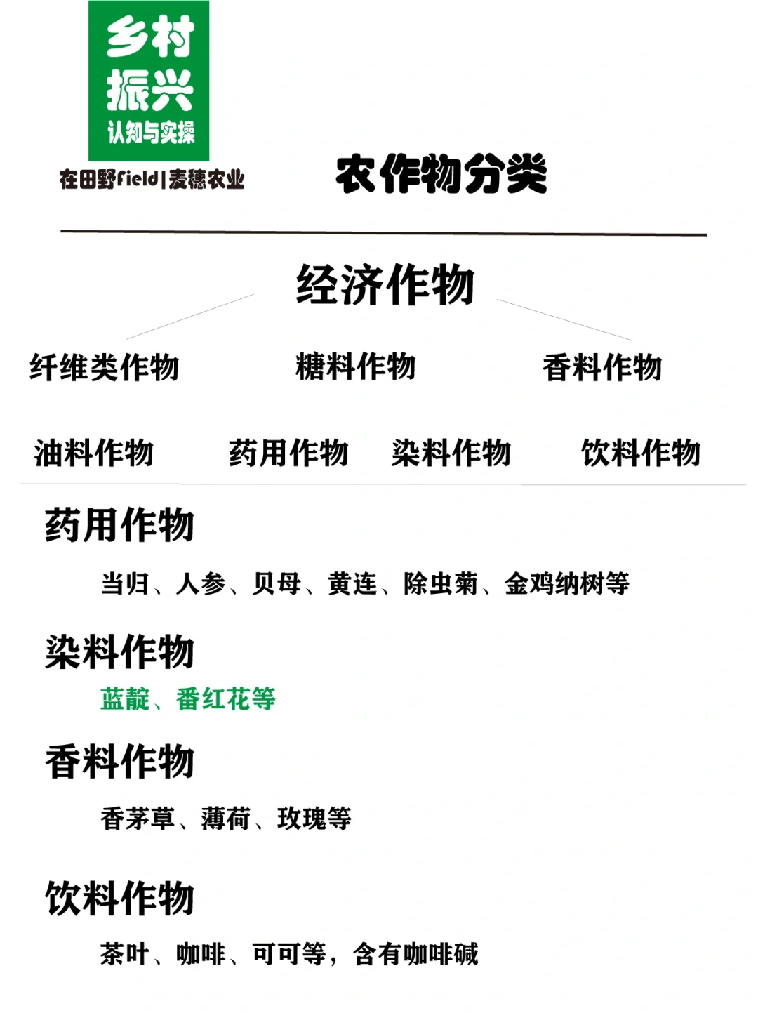 助力乡村振兴｜了解农作物的分类