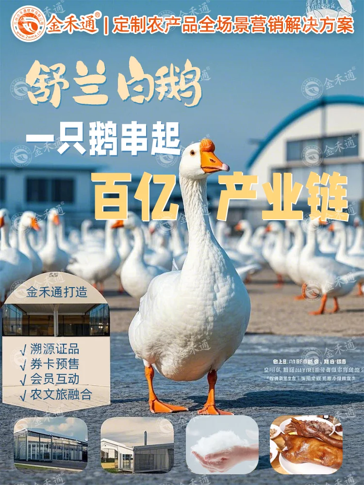 舒兰白鹅:一只鹅串起百亿产业链