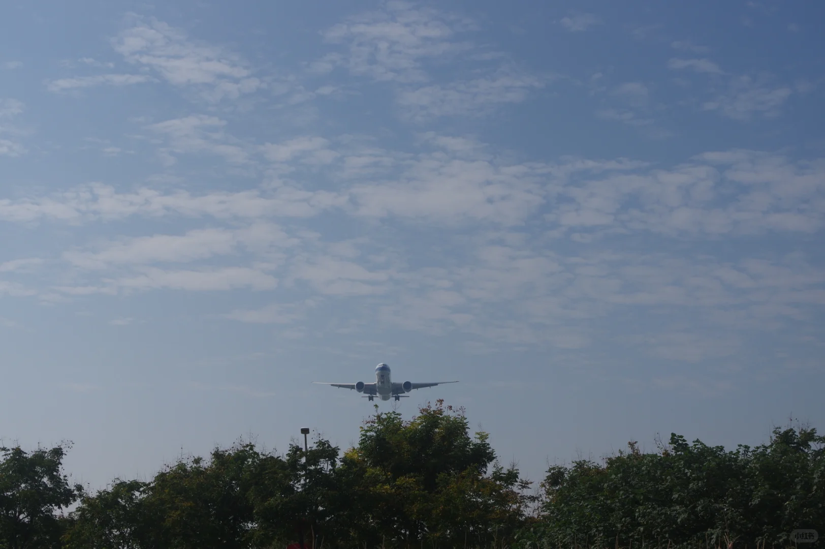 超宽体机降落确实带风