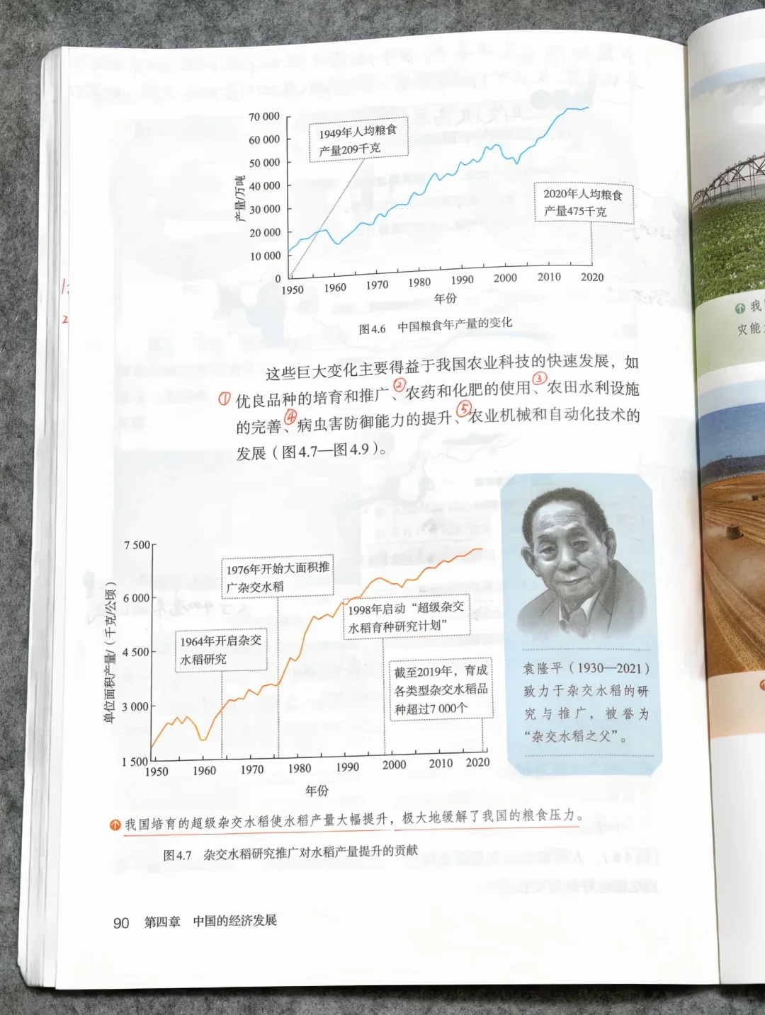 2025新教材人教版八上地理《农业》